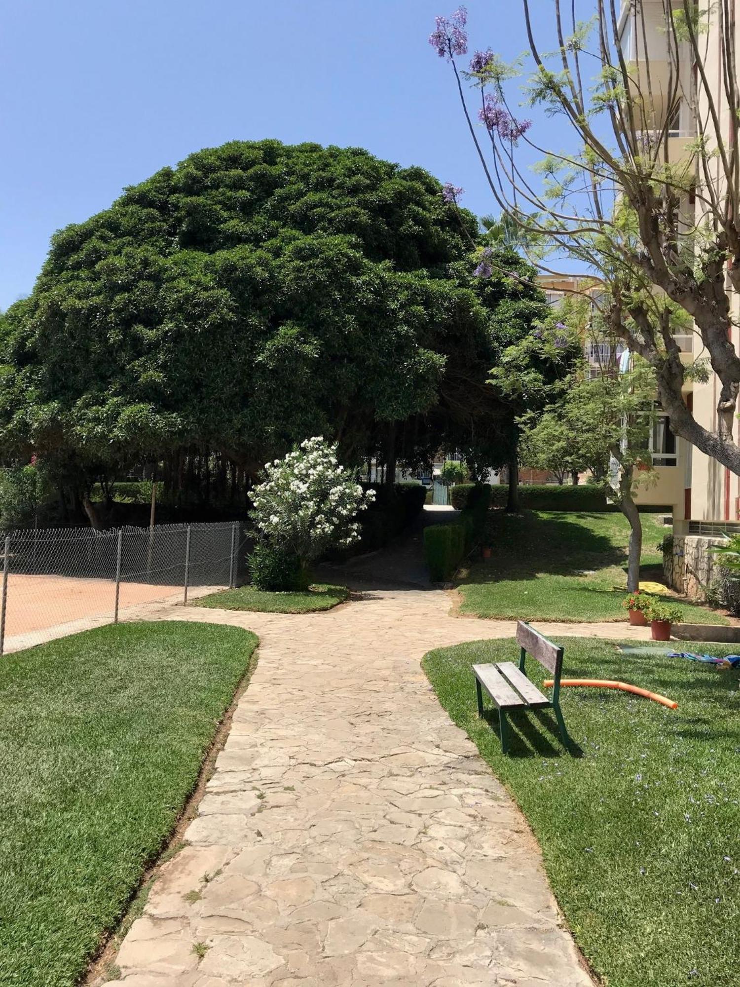 Estudio Gamonal Benalmadena Ngoại thất bức ảnh